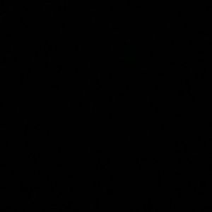 Meet your Posher, Dorjeanea